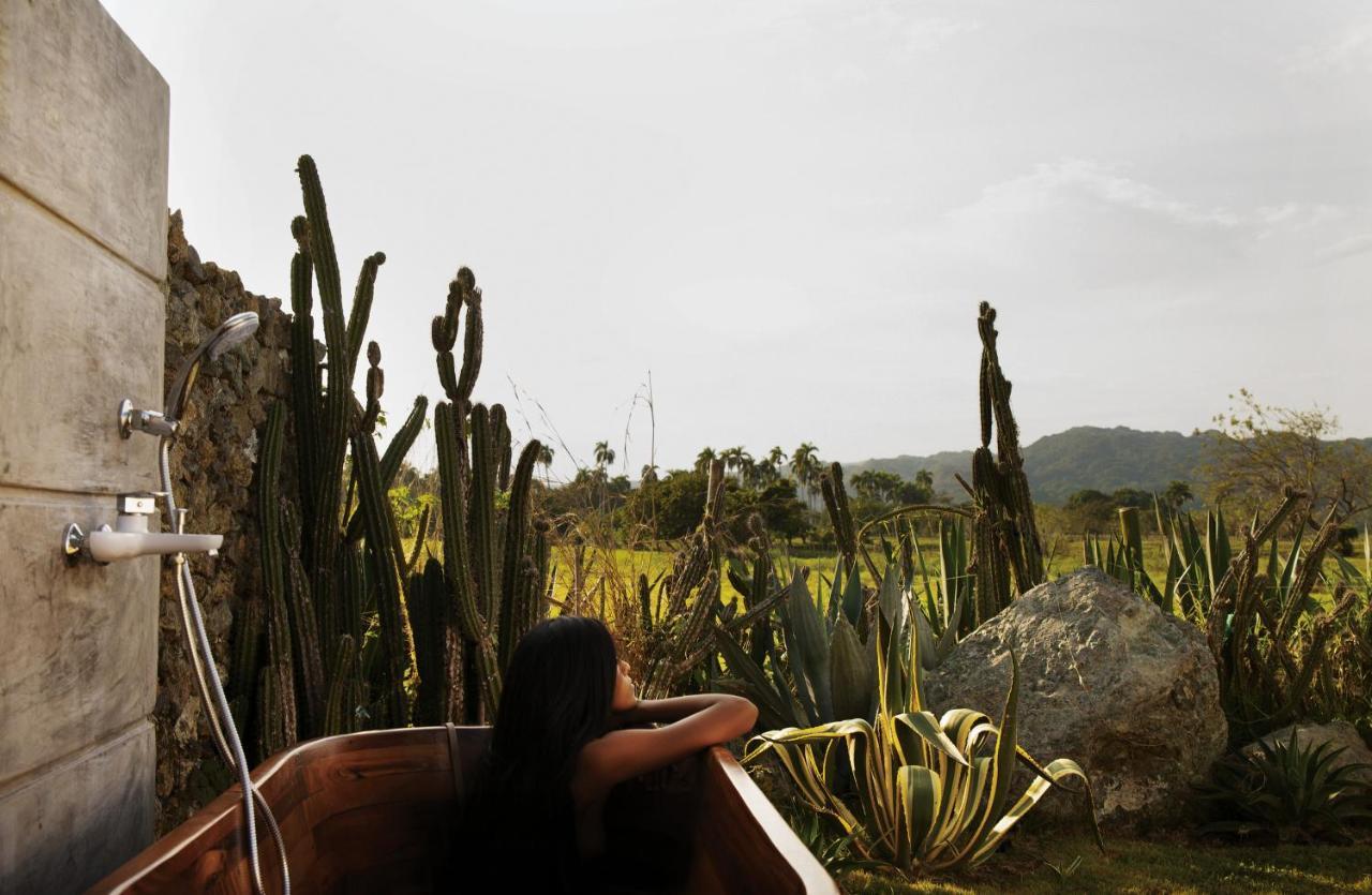 Green Land Bubble Glamping By Mint Cabarete Luaran gambar