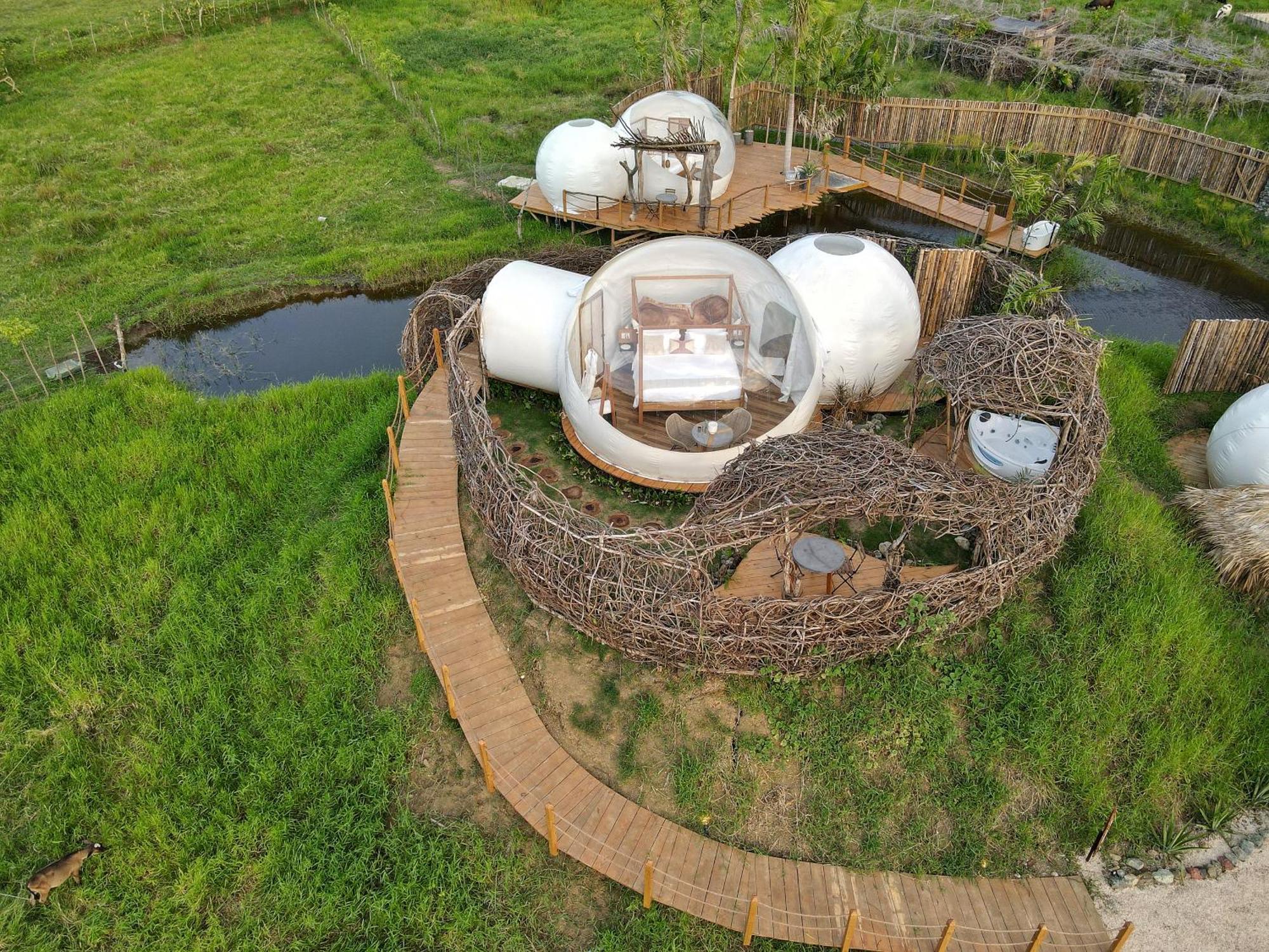Green Land Bubble Glamping By Mint Cabarete Bilik gambar