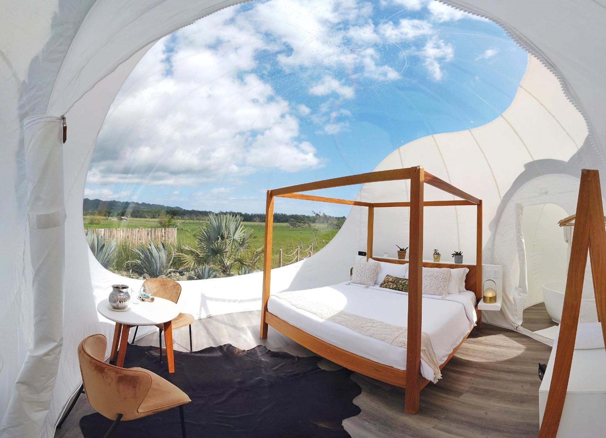 Green Land Bubble Glamping By Mint Cabarete Bilik gambar