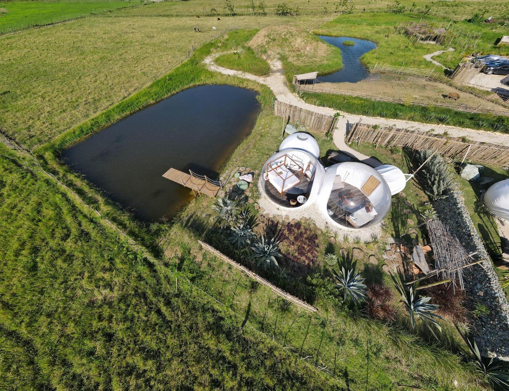 Green Land Bubble Glamping By Mint Cabarete Bilik gambar