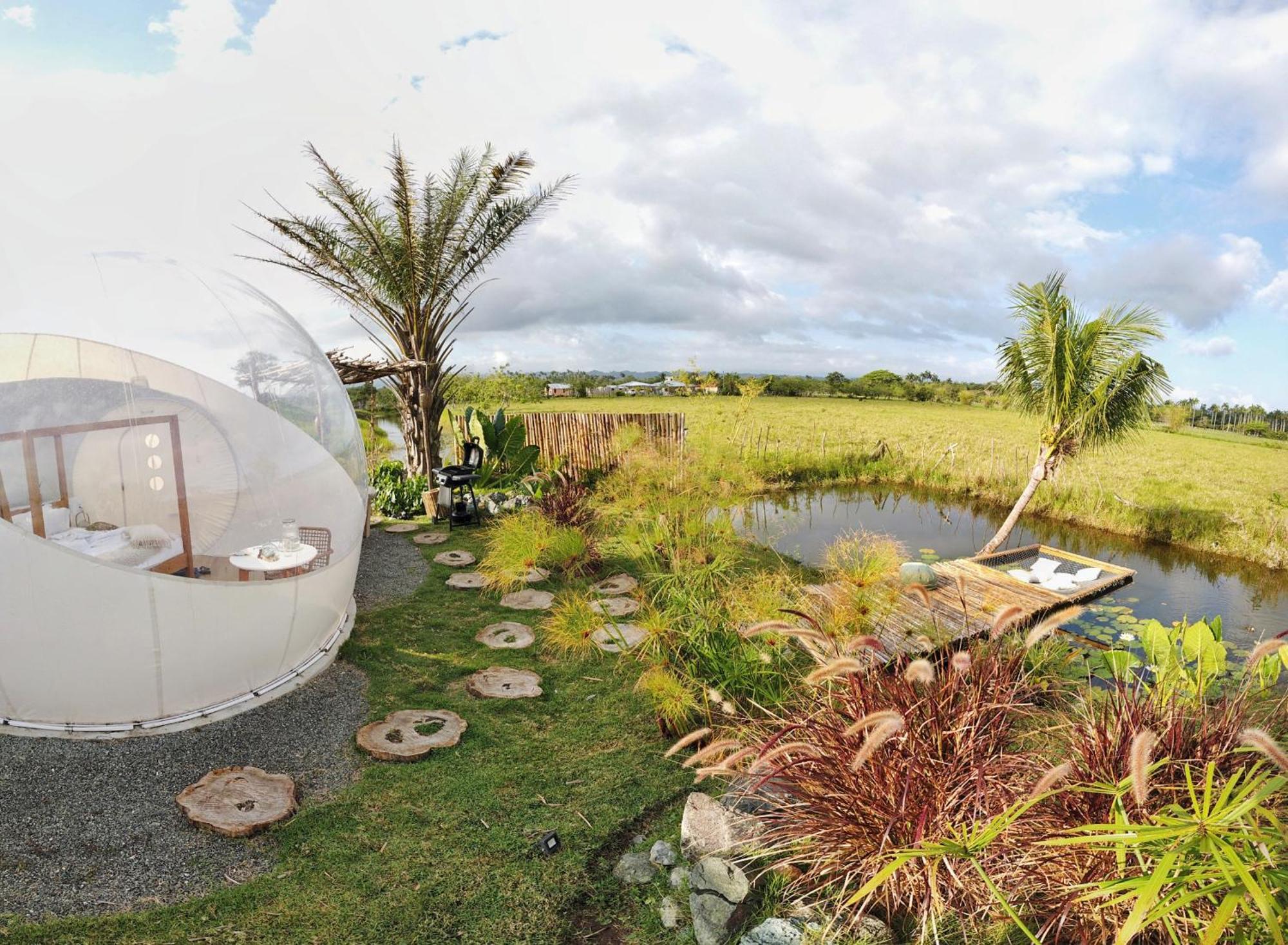 Green Land Bubble Glamping By Mint Cabarete Bilik gambar
