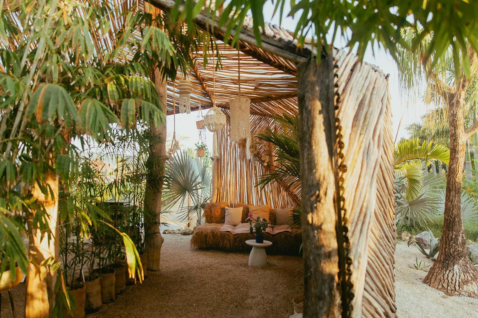Green Land Bubble Glamping By Mint Cabarete Luaran gambar