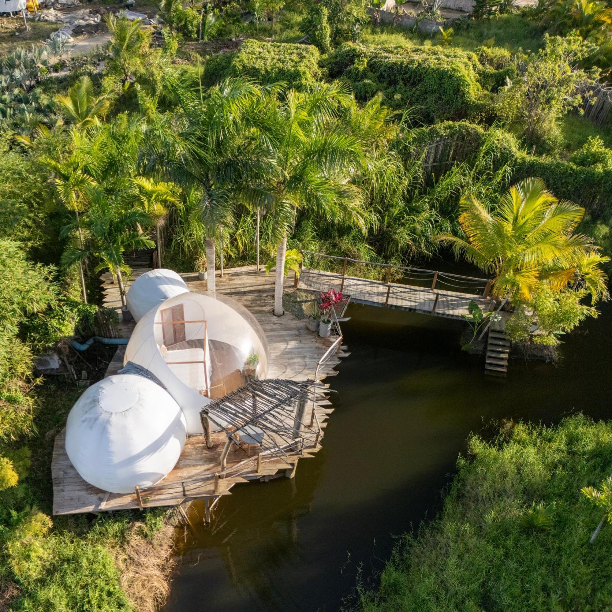 Green Land Bubble Glamping By Mint Cabarete Luaran gambar